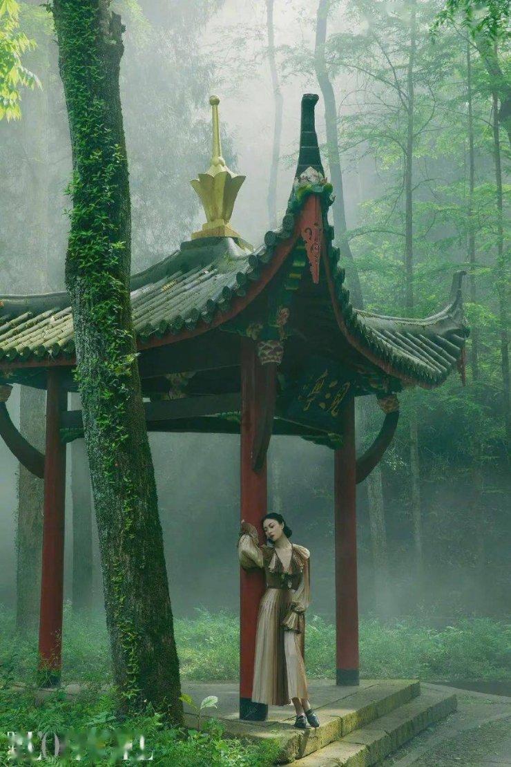 耳聪晚年，幸福听得见